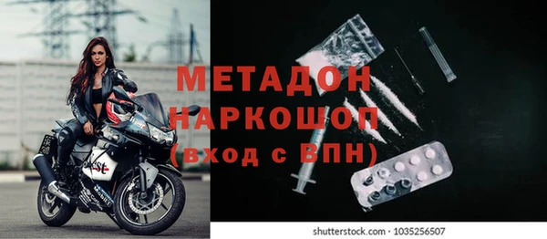 прущие грибы Щучье